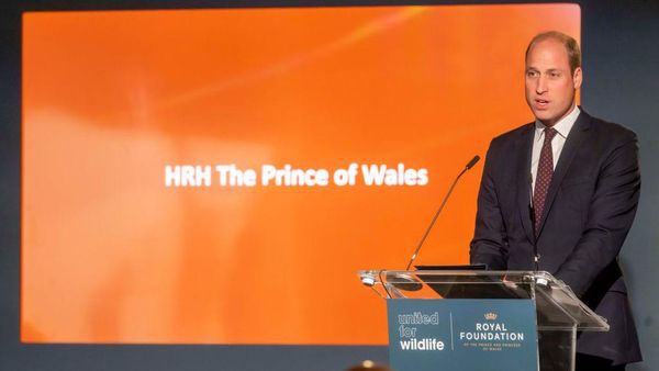 Pangeran William Hidup Normal Lagi