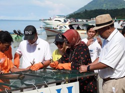 BNI Beri Bantuan Penataan Kawasan Wisata Taman Nasional Bunaken