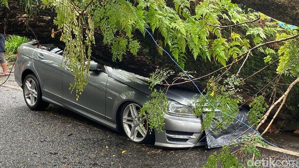 Penampakan Pohon Tua Timpa Mobil Mercy di Bandung