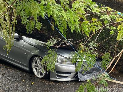 Penampakan Pohon Tua Timpa Mobil Mercy di Bandung