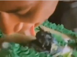 Viral Oknum Polisi Papua Barat Jilat Kue Ulang Tahun HUT TNI ke-77