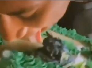 Video Jilat Kue HUT TNI yang Bikin 2 Polisi di Papua Barat Ditahan Video Jilat Kue HUT TNI yang Bikin 2 Polisi di Papua Barat Ditahan