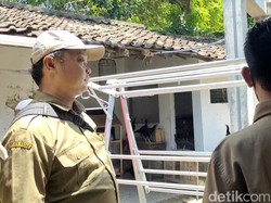 BKSDA Kediri Datangi Permukiman yang Diteror Monyet Liar Nakal