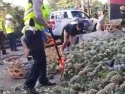 Sopir Ngantuk, Truk Angkut Nanas Terguling di Jembrana