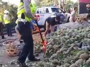 Sopir Ngantuk, Truk Angkut Nanas Terguling di Jembrana Sopir Ngantuk, Truk Angkut Nanas Terguling di Jembrana