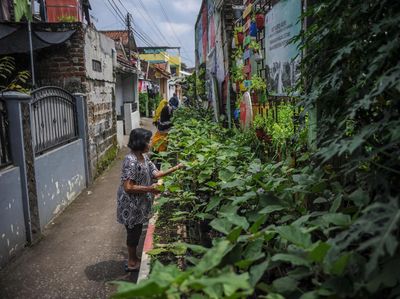 Aksi Warga Bandung Berkebun di Gang Sempit