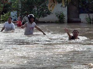 Banjir di Polewali Mandar Ikut Rendam 35 Hektare Sawah dan Kebun Warga Banjir di Polewali Mandar Ikut Rendam 35 Hektare Sawah dan Kebun Warga