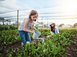 Hari Pendidikan Lingkungan Internasional 26 Januari, Sejarah dan Misinya
