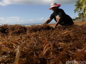 5 Upaya Pemanfaatan Laut dalam Meningkatkan Perekonomian Serta Contohnya