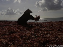 100 Lebih Pengusaha Sektor Maritim Bakal Kumpul di Jakarta, Ada Apa Nih?