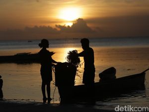 Nasib Kabur Pedagang Pencok Geranggang Seusai 21 Orang Keracunan Nasib Kabur Pedagang Pencok Geranggang Seusai 21 Orang Keracunan