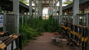 Potret Terminal Bus Hong Kong yang Terbengkalai, Dipenuhi Tumbuhan