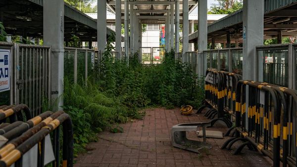 Potret Terminal Bus Hong Kong yang Terbengkalai, Dipenuhi Tumbuhan