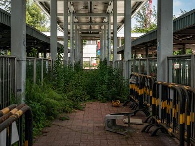 Potret Terminal Bus Hong Kong yang Terbengkalai, Dipenuhi Tumbuhan
