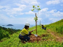 Komitmen Jaga Alam, Operator Tambang Emas Terus Reklamasi Areal Tambang