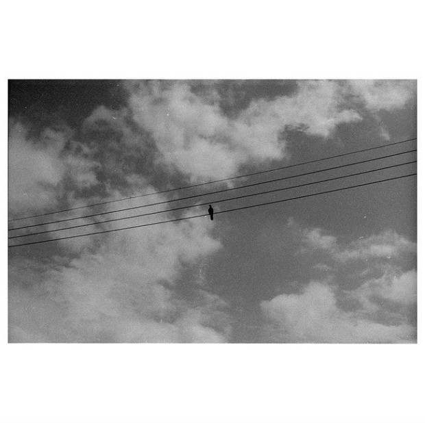 Salah satu foto yang dipotret Lee Jongwon / Foto : Instagram.com/wannaradicallove Salah satu foto yang dipotret Lee Jongwon / Foto : Instagram.com/wannaradicallove