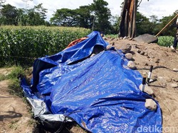 BPCB Semprit Ekskavasi Situs Tlawong Boyolali: Belum Koordinasi, Setop Dulu!