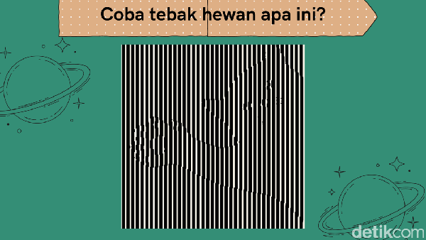 Bisa Temukan Objek Tersembunyi? Sehari-hari Ketemu, Pasti Tahu Lah