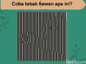 Bisa Temukan Objek Tersembunyi? Sehari-hari Ketemu, Pasti Tahu Lah Bisa Temukan Objek Tersembunyi? Sehari-hari Ketemu, Pasti Tahu Lah