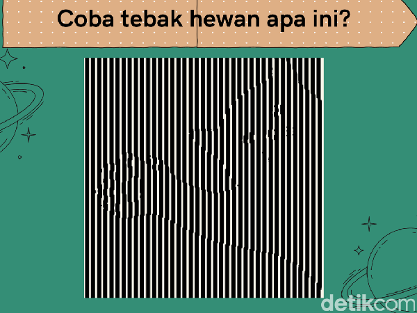 Bisa Temukan Objek Tersembunyi? Sehari-hari Ketemu, Pasti Tahu Lah