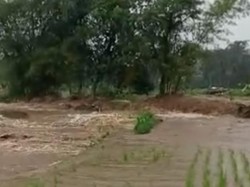 Sawah-Rumah Warga Terendam Banjir Imbas Luapan Sungai Cibaruyan Ciamis