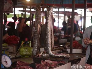 Ahli Gizi Ungkap Bahaya Konsumsi Daging Ular Jika Tak Bersih: Banyak Parasit Ahli Gizi Ungkap Bahaya Konsumsi Daging Ular Jika Tak Bersih: Banyak Parasit