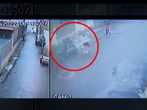 Dibekuk! Dua Jambret di Medan Rampas Tas Ibu-ibu Hingga Tersungkur