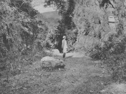 Kekuatan Napoleon di Balik Pembangunan Jalan Daendels di Sumedang