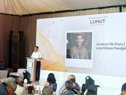 Luhut: Katanya Saya Populer, tapi Tak Mau Jadi Presiden atau Wapres