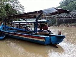 Momen Pencari Pasir Cikaso Saling Tatap dengan Buaya Dalam Air