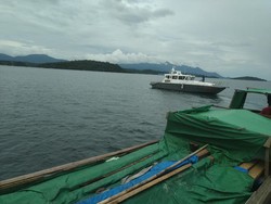 Bawa 3 Ton Kayu Ilegal, Polisi Tangkap Satu Kapal di Perairan Lingga