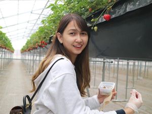 Dari JKT48, Stefi Tinggal di Jepang dan Jadi Guru Bahasa Indonesia