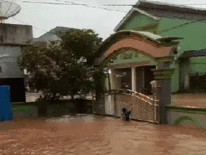 Banjir di Sukabumi Rendam Mobil-Rumah Banjir di Sukabumi Rendam Mobil-Rumah