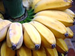 Pisang Mengandung Radioaktif, Apakah Berbahaya?