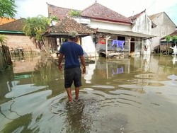 Ratusan Rumah Warga Pengambengan Jembrana Masih Terendam Air