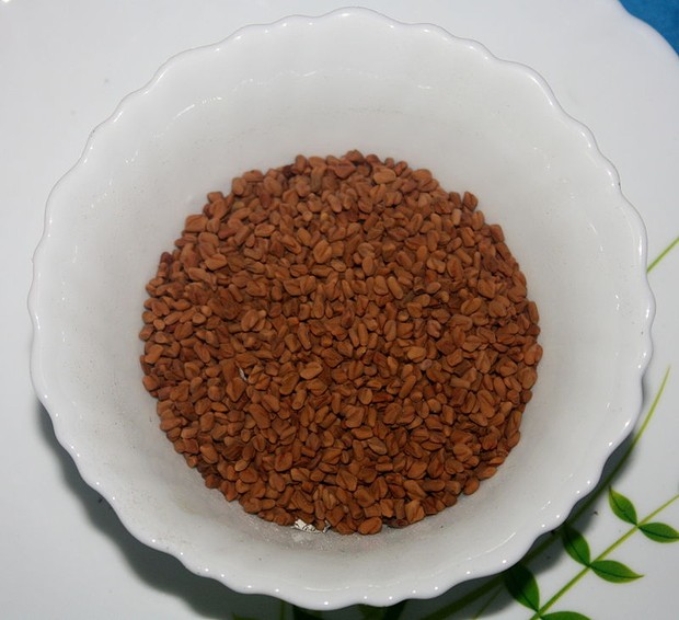 Biji fenugreek bisa bantu atasi rambut rontok/Foto: dok. Wikipedia Biji fenugreek bisa bantu atasi rambut rontok
