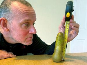 Pria Ini Terkejut Istrinya Borong Buah Pir yang Bentuknya Mirip Mr.P