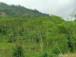 Melihat Lagi TKP Longsor Dusun Banjarnegara yang Tewaskan 125 Orang