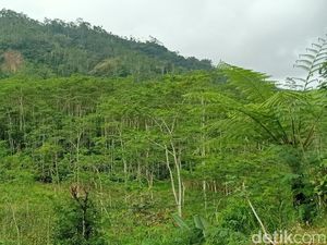 Melihat Lagi TKP Longsor Dusun Banjarnegara yang Tewaskan 125 Orang Melihat Lagi TKP Longsor Dusun Banjarnegara yang Tewaskan 125 Orang