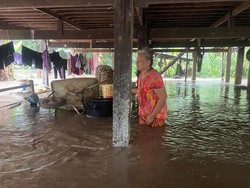 Sulsel Pancaroba Sepekan ke Depan: Waspada Banjir, Longsor, Pohon Tumbang