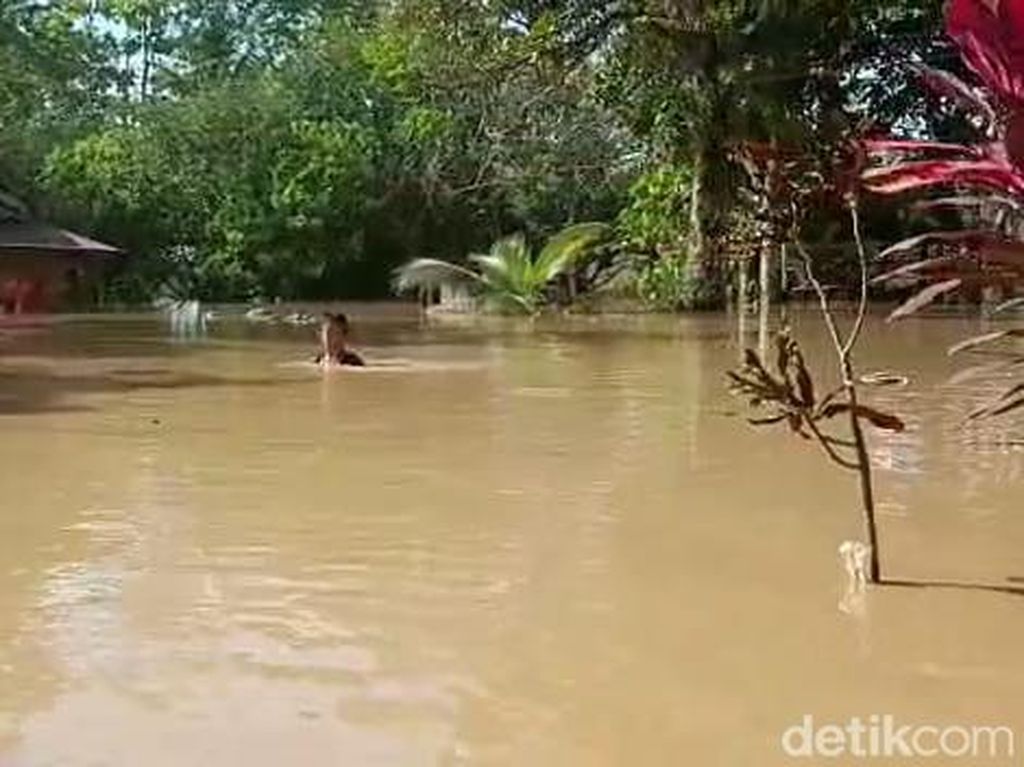 Banjir di Palopo Belum Surut, 20 Rumah Terendam-Akses Jalan Terputus