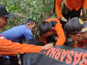 Pencari Madu di Hutan Sambelia Lombok Ditemukan Tewas Membusuk