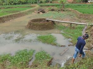 Batu Situs Ciluncat Ciamis Ini Dipercaya Sembuhkan Penyakit Batu Situs Ciluncat Ciamis Ini Dipercaya Sembuhkan Penyakit