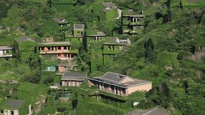 Potret Desa Houtouwan Diselimuti Lumut, Mati Ditinggal Warganya