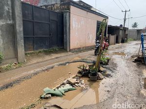 Warga KBB Tanam Pohon Pisang di Tengah Jalan gegara Rusak Tak Diperbaiki