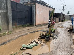 Warga KBB Tanam Pohon Pisang di Tengah Jalan gegara Rusak Tak Diperbaiki
