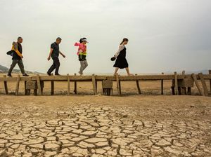 Jembatan Batu Berusia 400 Tahun Muncul di Tengah Danau Kering China Jembatan Batu Berusia 400 Tahun Muncul di Tengah Danau Kering China