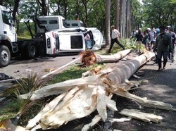 Ujung Damai Kecelakaan Mini Cooper Vs CR-V di Citraland Surabaya