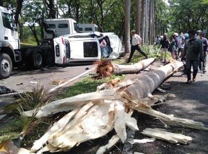 Ujung Damai Kecelakaan Mini Cooper Vs CR-V di Citraland Surabaya Ujung Damai Kecelakaan Mini Cooper Vs CR-V di Citraland Surabaya