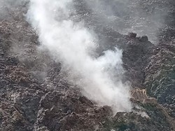 Muncul 5 Titik Api Bau Balerang di Bukit Naimutis NTT, Warga Pusing-pusing